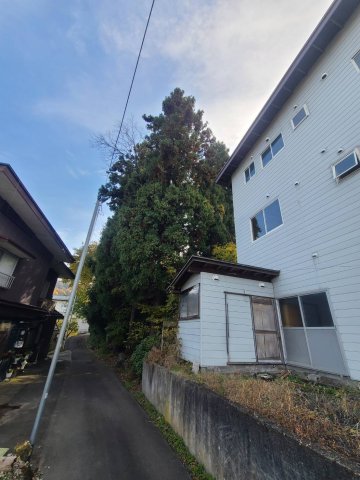�摜