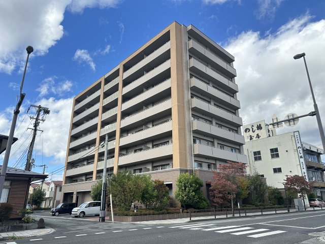 �摜