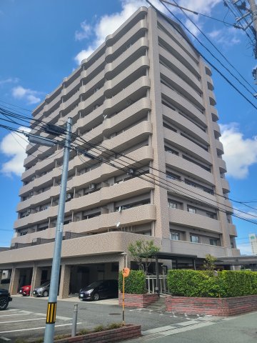 �摜